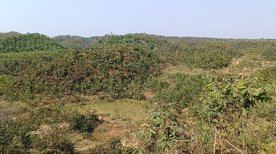 image-here